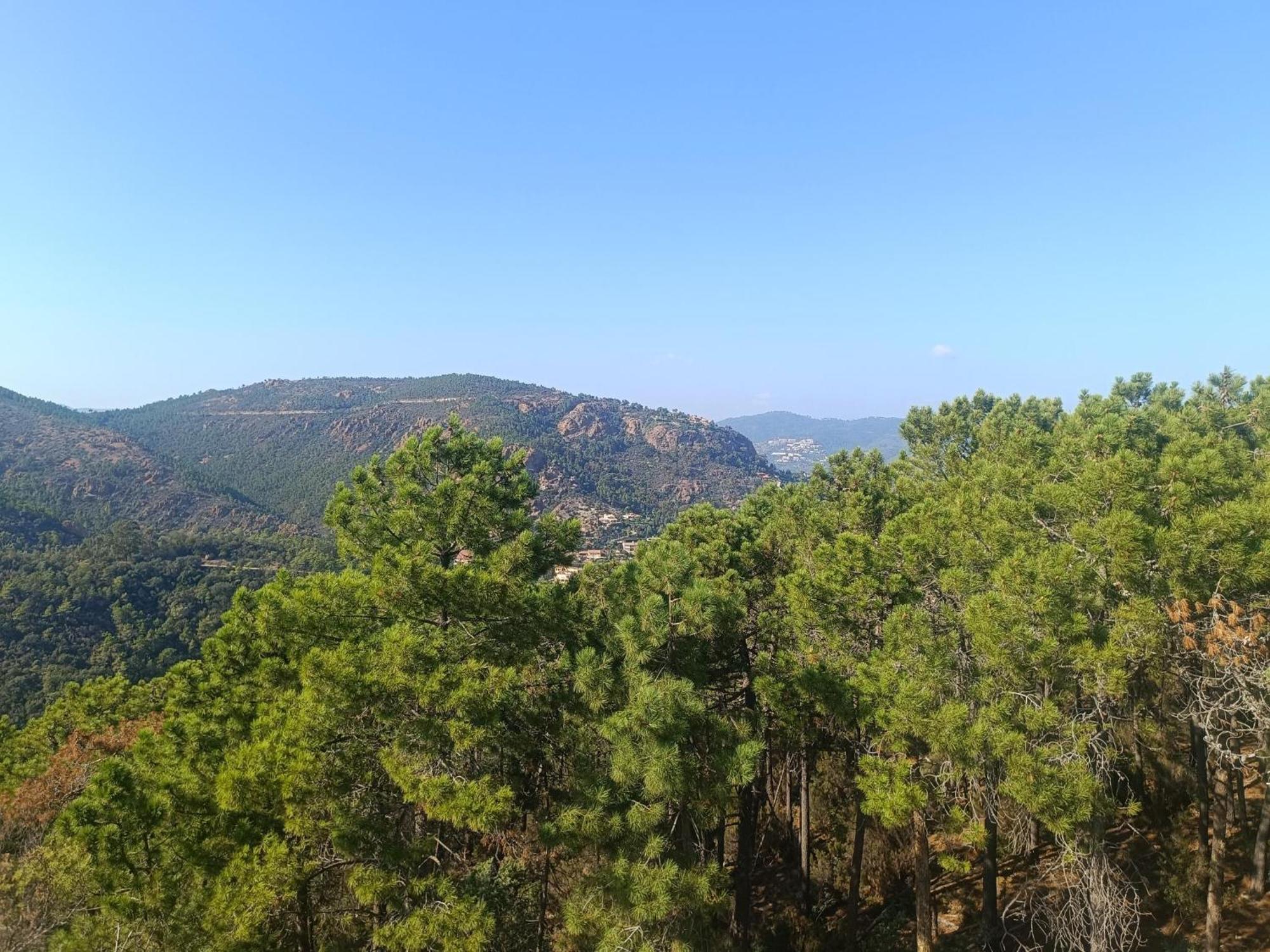 Magnifique Vue Mer Et Piscine - Les Cles De L Esterel Théoule-sur-Mer Exteriér fotografie